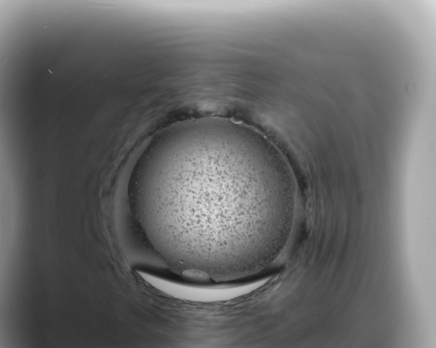 X0000088731249200706071633