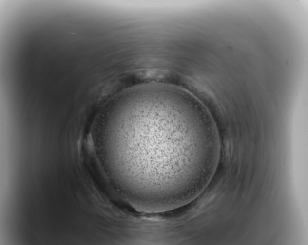 X0000088731250200706071633