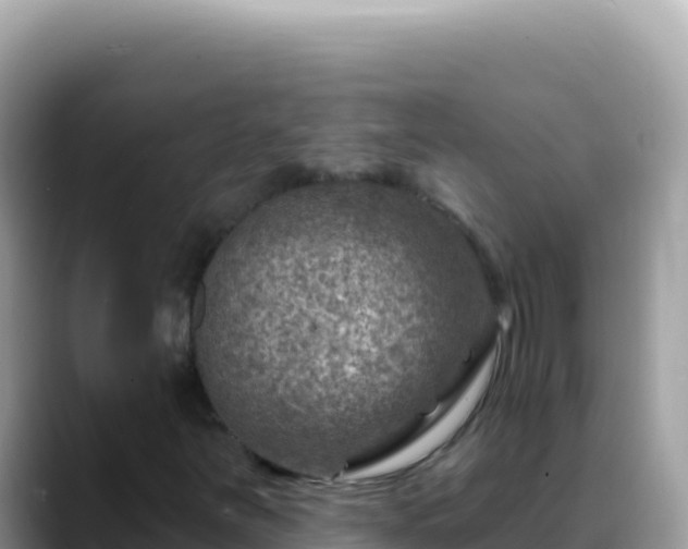 X0000088731251200706071633