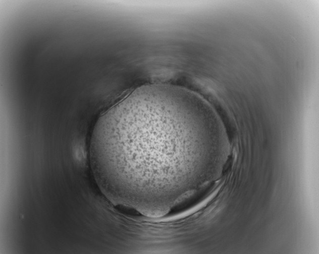 X0000088731252200706071633