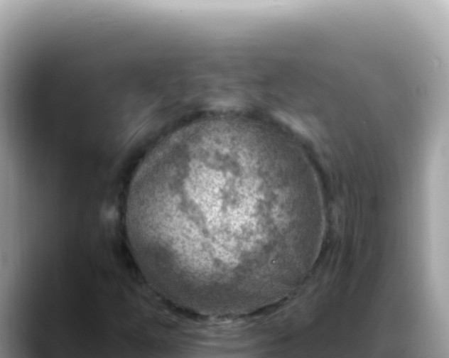 X0000088731254200706071633
