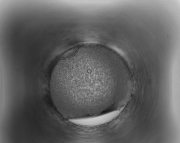 X0000088731255200706071633
