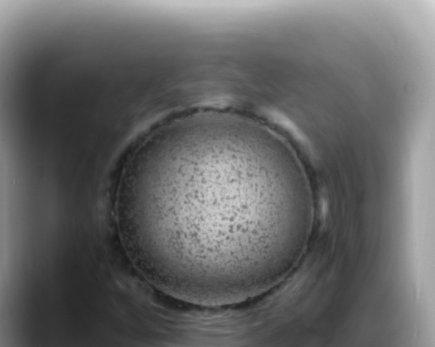 X0000088731256200706071633