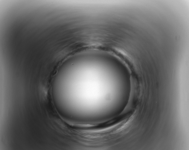 X0000088731257200706071633