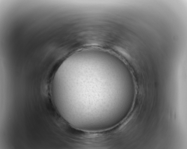 X0000088731258200706071633