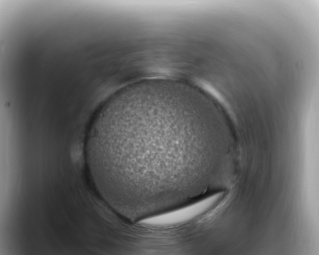 X0000088731259200706071633