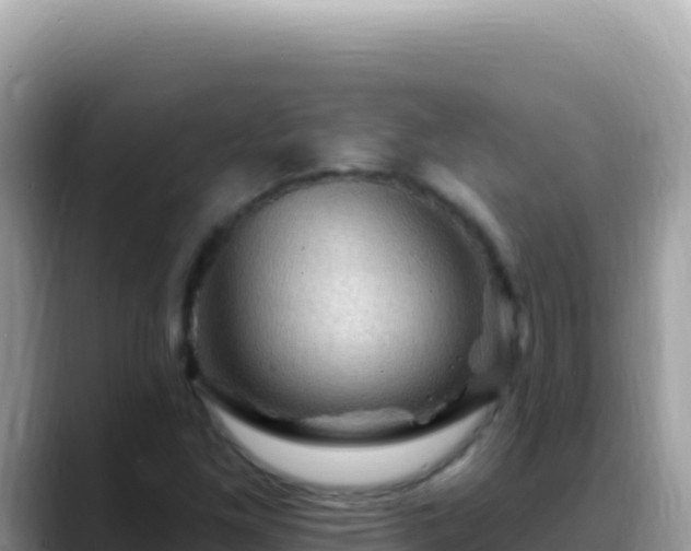 X0000088731261200706071633