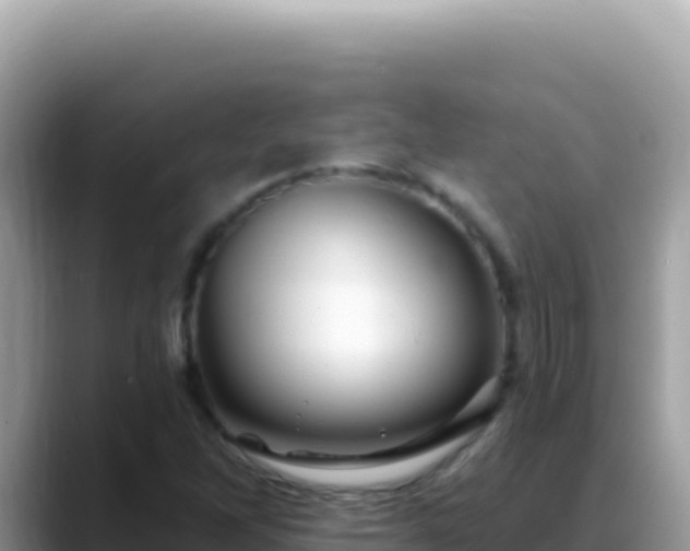 X0000088731262200706071633