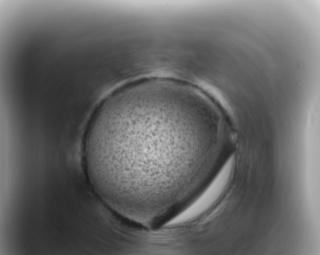 X0000088731264200706071633