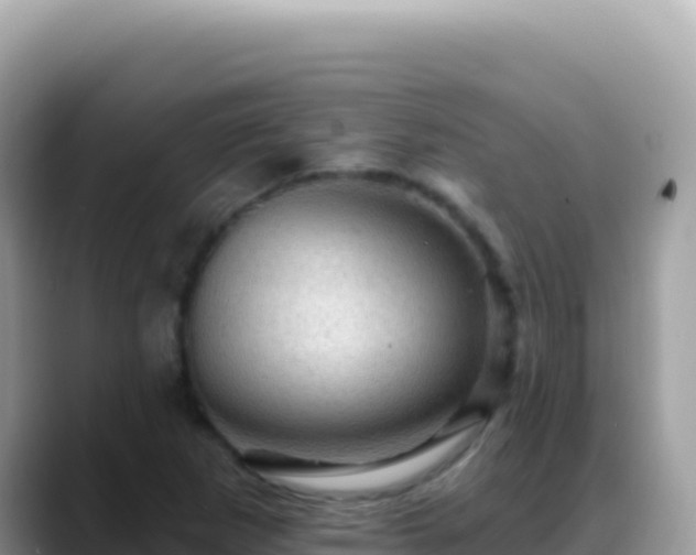X0000088731265200706071633