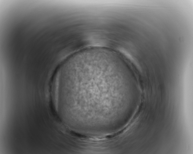 X0000088731266200706071633