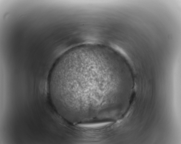 X0000088731267200706071633