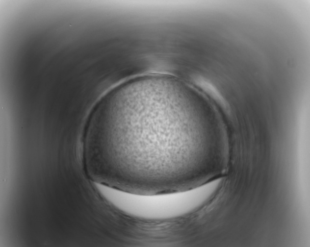 X0000088731268200706071633