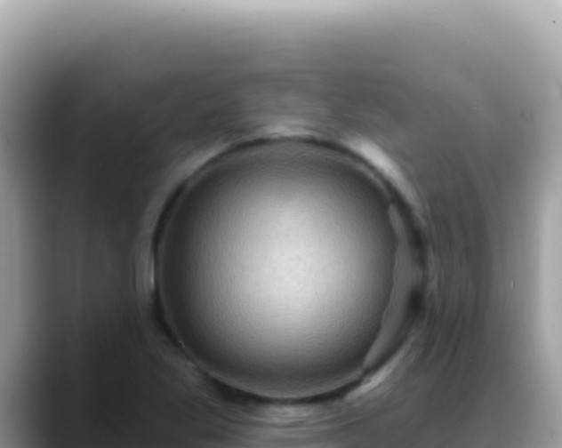 X0000088731269200706071632