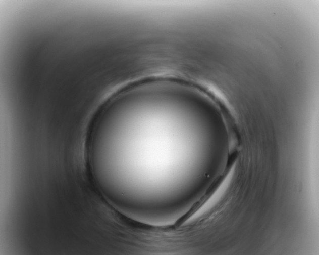 X0000088731270200706071632