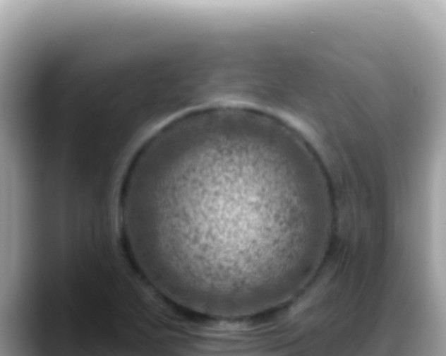 X0000088731271200706071632