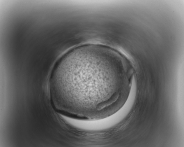 X0000088731272200706071632