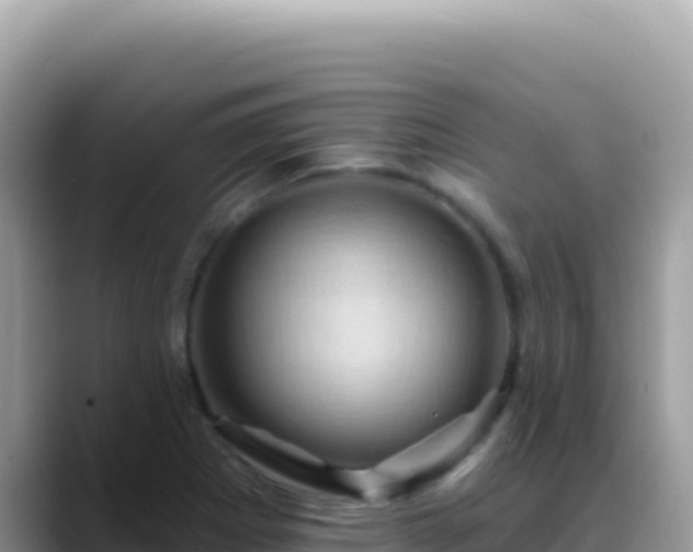 X0000088731273200706071632