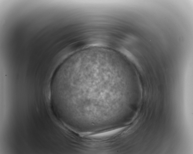 X0000088731274200706071632