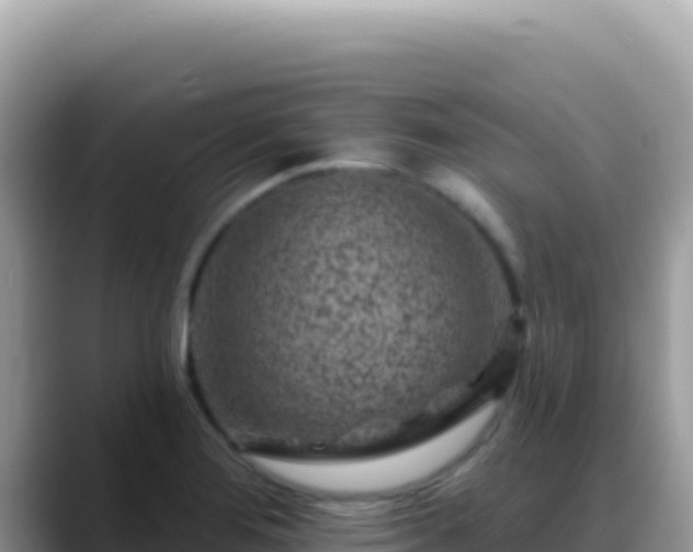 X0000088731276200706071632