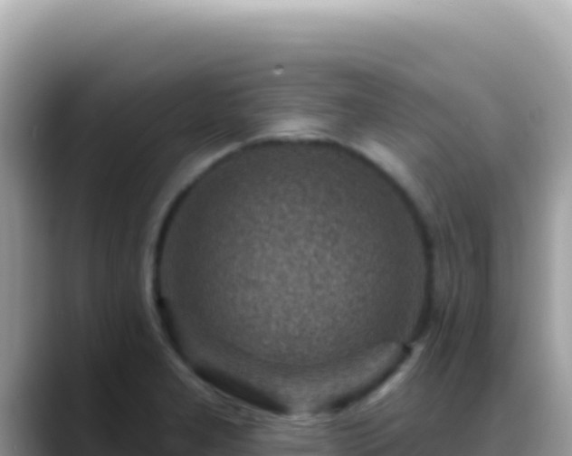 X0000088731277200706071632