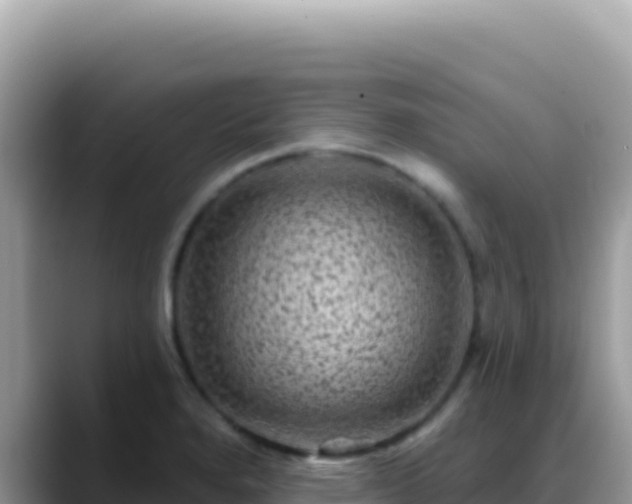 X0000088731280200706071632