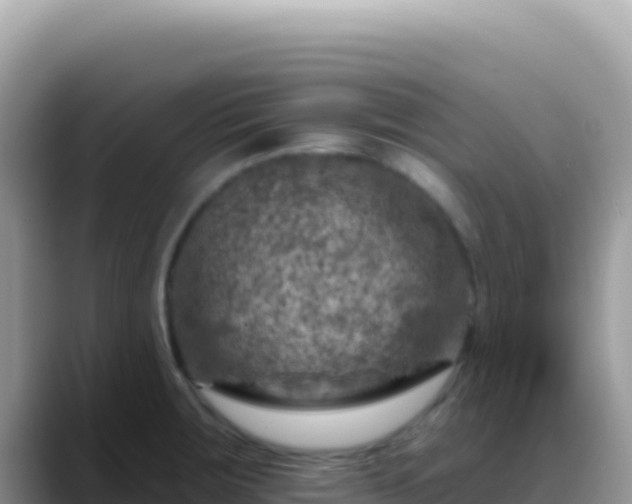 X0000088731283200706071632