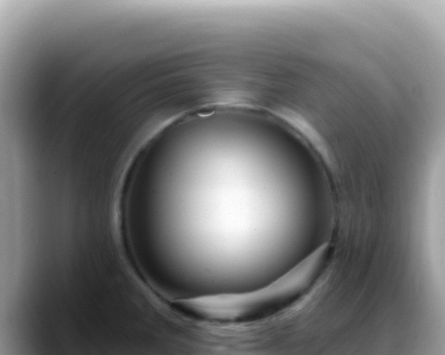 X0000088731285200706071632