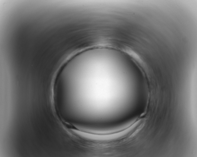 X0000088731286200706071632