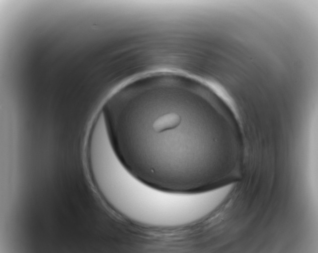 X0000088731287200706071632