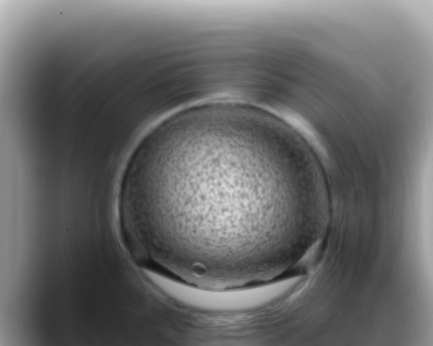 X0000088731288200706071632