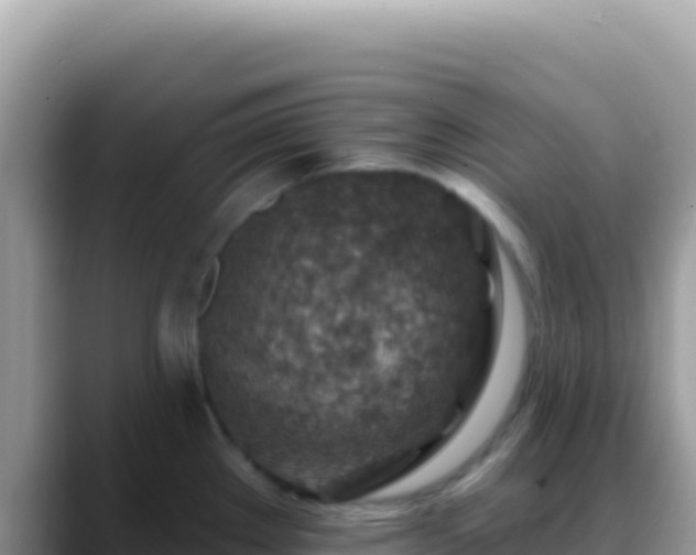 X0000088731289200706071632