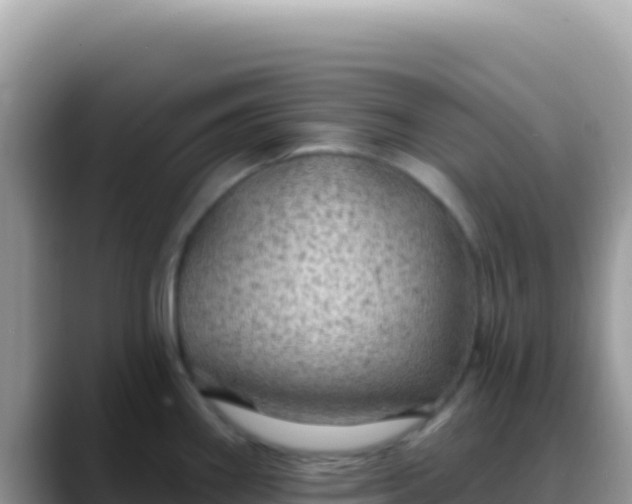X0000088731290200706071632