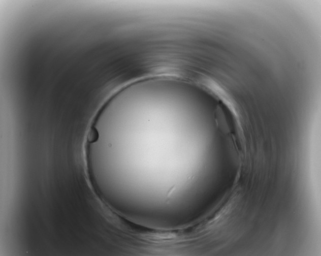 X0000088731291200706071632