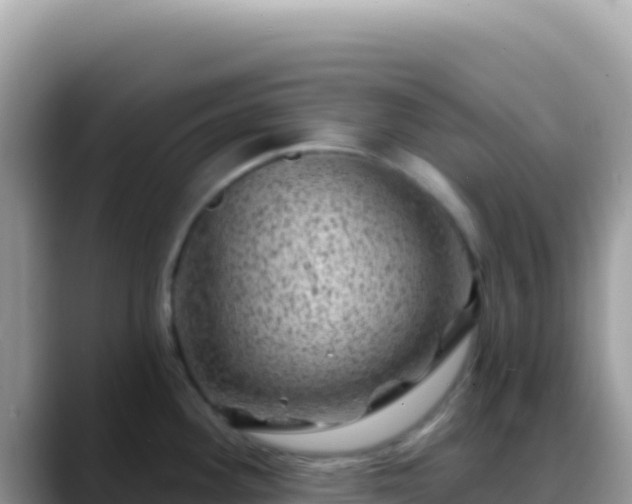 X0000088731292200706071632
