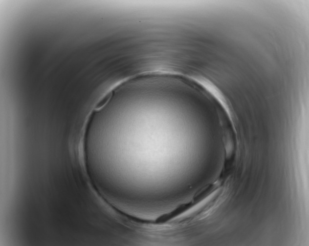 X0000088731293200706071632