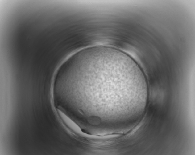 X0000088731294200706071632