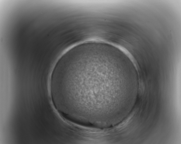 X0000088731295200706071632