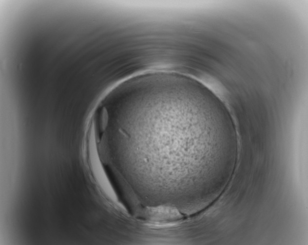 X0000088731296200706071632