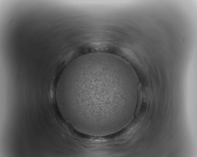 X0000088731298200706071632