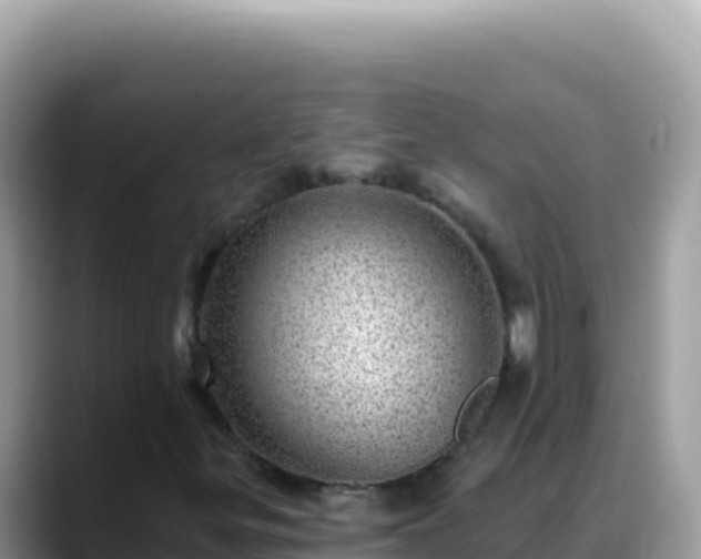X0000088731299200706071632