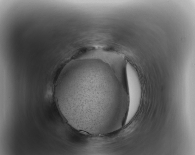 X0000088731300200706071632