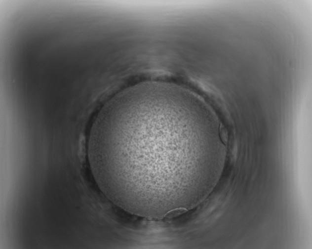X0000088731301200706071632
