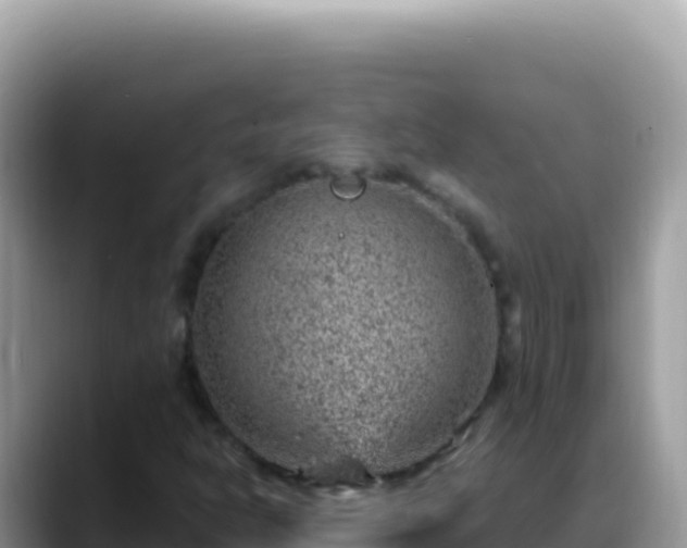 X0000088731302200706071632