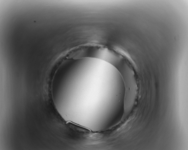 X0000088731304200706071632