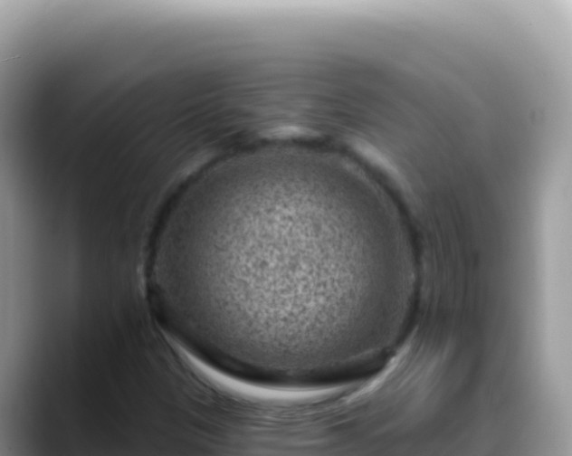 X0000088731305200706071632