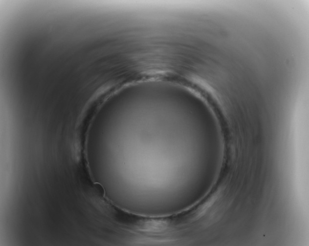 X0000088731306200706071632