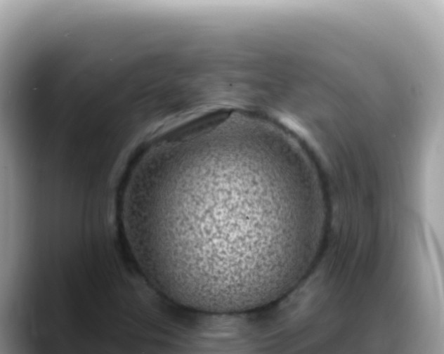 X0000088731307200706071632