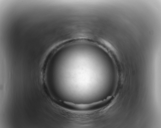 X0000088731310200706071632
