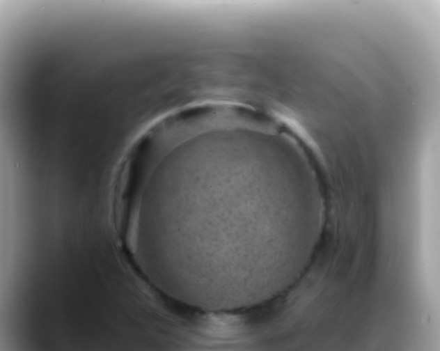 X0000088731312200706071632